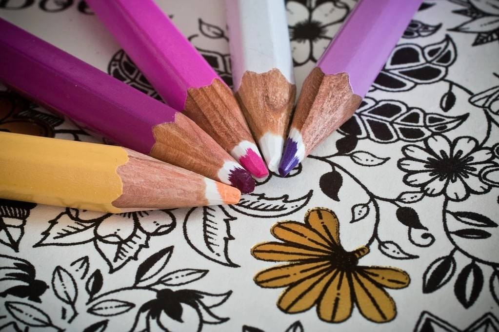 Discover new hobbies to enrich your free time